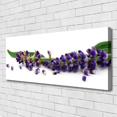 Quadro canvas Natureza morta de lavanda