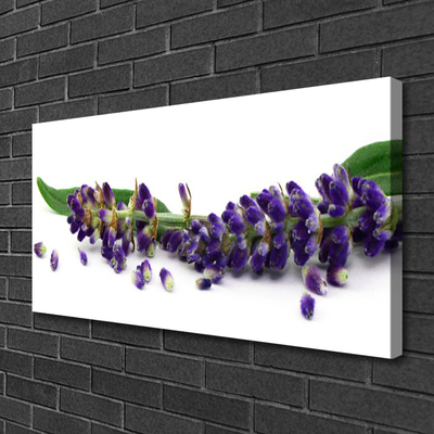 Quadro canvas Natureza morta de lavanda