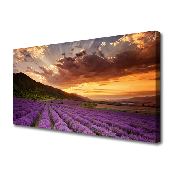 Quadro em tela Pôr do sol no campo de lavanda