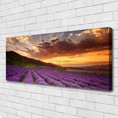 Quadro em tela Pôr do sol no campo de lavanda
