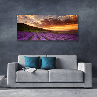 Quadro em tela Pôr do sol no campo de lavanda