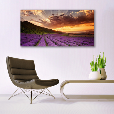 Quadro em tela Pôr do sol no campo de lavanda