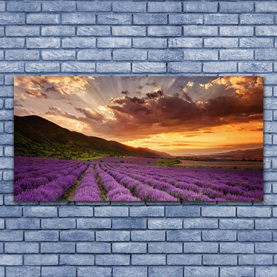Quadro em tela Pôr do sol no campo de lavanda