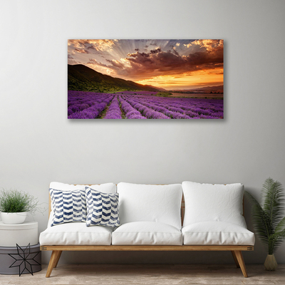 Quadro em tela Pôr do sol no campo de lavanda