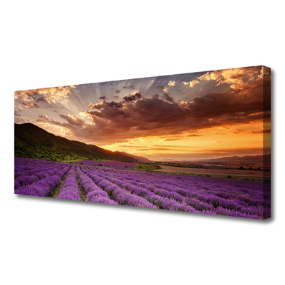 Quadro em tela Pôr do sol no campo de lavanda