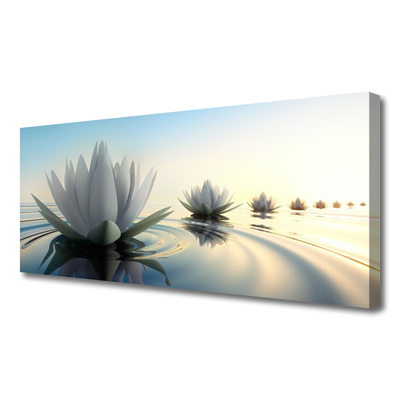 Quadro canvas Nenúfares Flores Lagoa