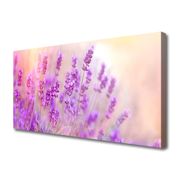 Quadro canvas Girassóis de campo de lavanda