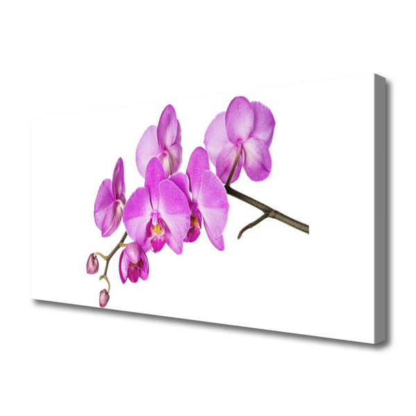 Quadro canvas Orquídea Flores de Orquídea