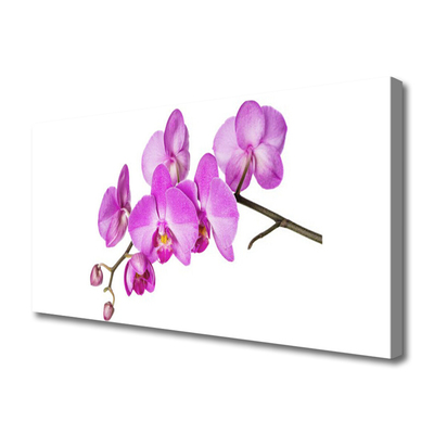 Quadro canvas Orquídea Flores de Orquídea