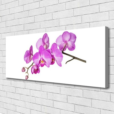 Quadro canvas Orquídea Flores de Orquídea