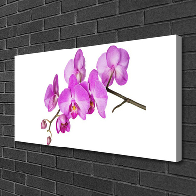 Quadro canvas Orquídea Flores de Orquídea