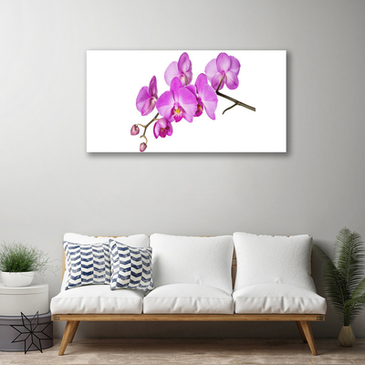Quadro canvas Orquídea Flores de Orquídea