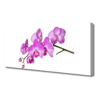 Quadro canvas Orquídea Flores de Orquídea