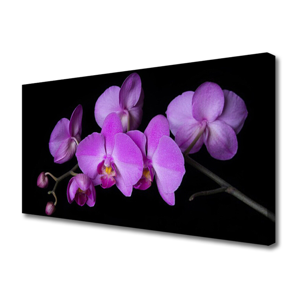 Quadro em tela Orquídea Flores de Orquídea