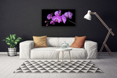 Quadro em tela Orquídea Flores de Orquídea