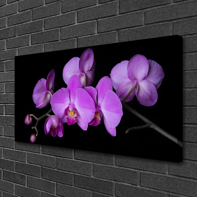 Quadro em tela Orquídea Flores de Orquídea