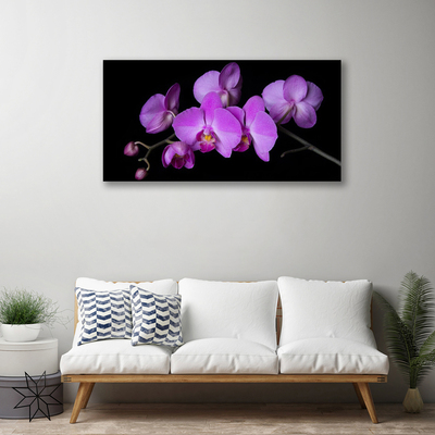 Quadro em tela Orquídea Flores de Orquídea