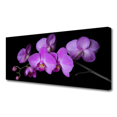 Quadro em tela Orquídea Flores de Orquídea