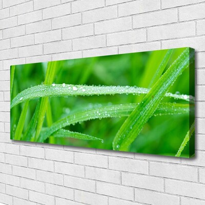 Quadro canvas Folhas Gotas de Orvalho Natureza
