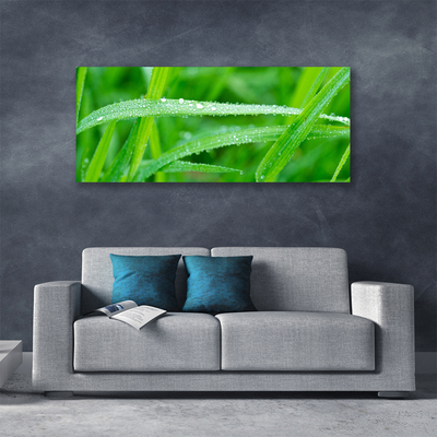 Quadro canvas Folhas Gotas de Orvalho Natureza