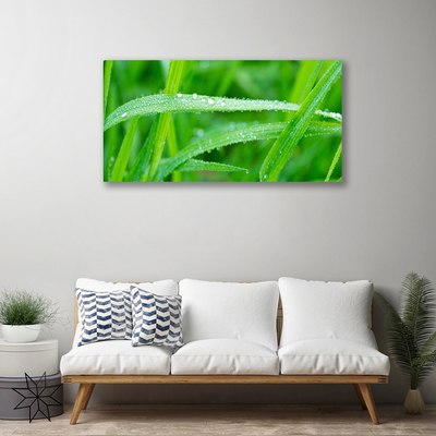 Quadro canvas Folhas Gotas de Orvalho Natureza
