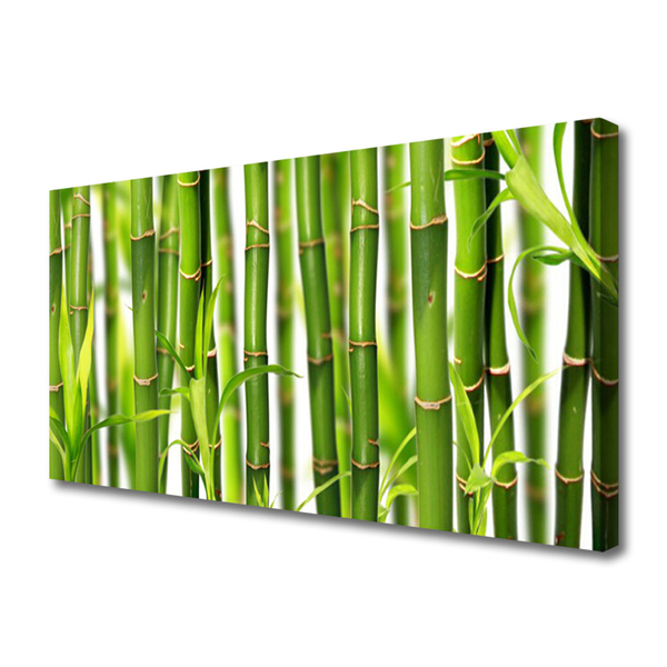 Quadro canvas Brotos de bambu Folhas de bambu