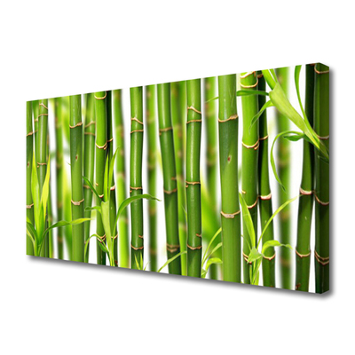 Quadro canvas Brotos de bambu Folhas de bambu