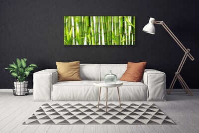 Quadro canvas Brotos de bambu Folhas de bambu