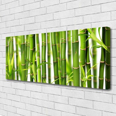 Quadro canvas Brotos de bambu Folhas de bambu