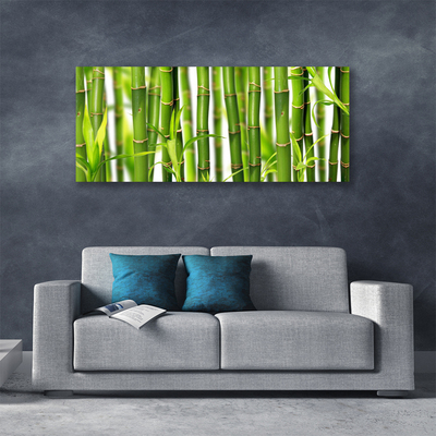 Quadro canvas Brotos de bambu Folhas de bambu