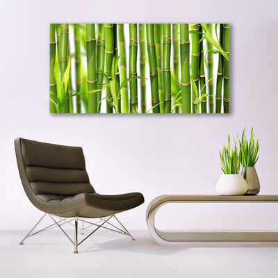 Quadro canvas Brotos de bambu Folhas de bambu