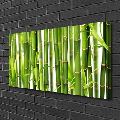 Quadro canvas Brotos de bambu Folhas de bambu