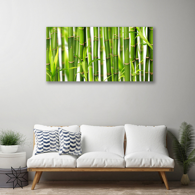 Quadro canvas Brotos de bambu Folhas de bambu
