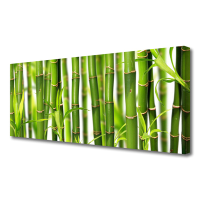 Quadro canvas Brotos de bambu Folhas de bambu