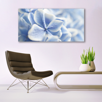 Quadro canvas Flores Pétalas Natureza