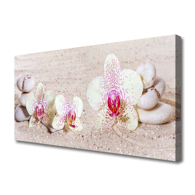 Quadro canvas Orquídea Orquídea de Areia