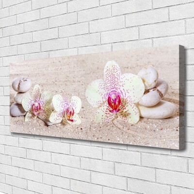 Quadro canvas Orquídea Orquídea de Areia