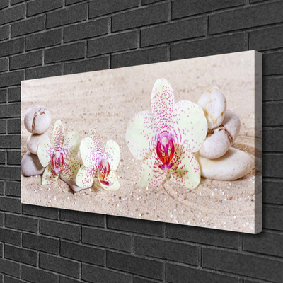 Quadro canvas Orquídea Orquídea de Areia