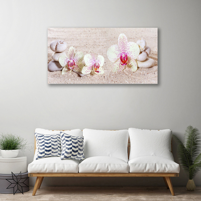 Quadro canvas Orquídea Orquídea de Areia