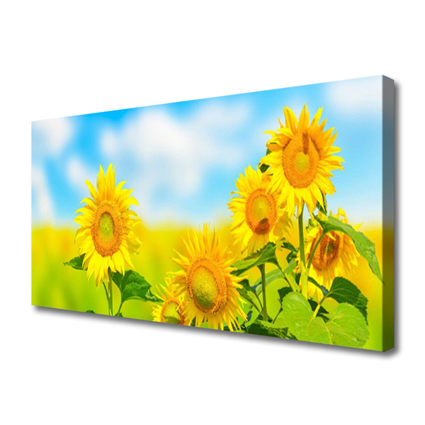 Quadro em tela Flores de Girassol Natureza