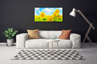Quadro em tela Flores de Girassol Natureza