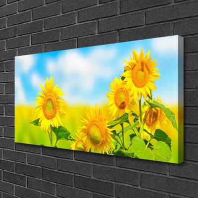 Quadro em tela Flores de Girassol Natureza