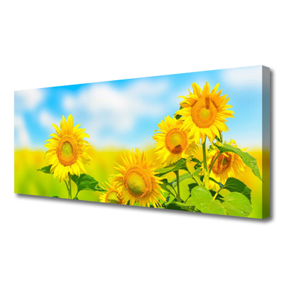 Quadro em tela Flores de Girassol Natureza