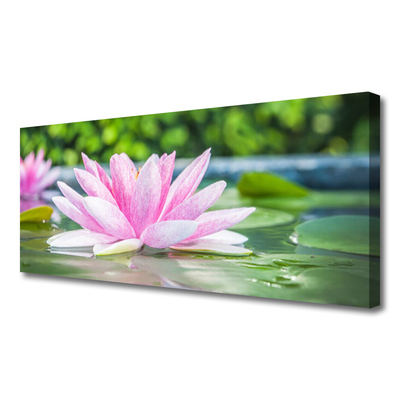 Quadro em tela Natureza do lago com nenúfares