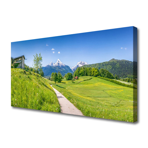 Quadro em tela Montanhas Meadow Path Valley