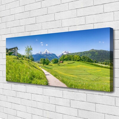 Quadro em tela Montanhas Meadow Path Valley