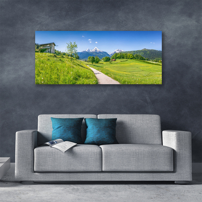 Quadro em tela Montanhas Meadow Path Valley