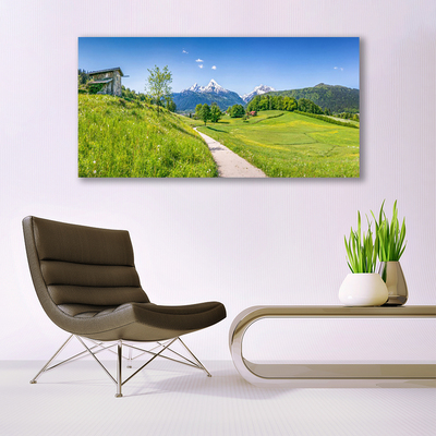 Quadro em tela Montanhas Meadow Path Valley