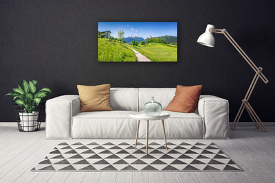 Quadro em tela Montanhas Meadow Path Valley