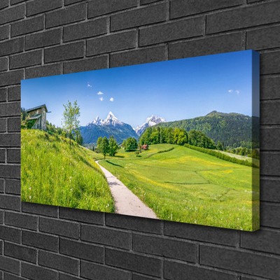 Quadro em tela Montanhas Meadow Path Valley